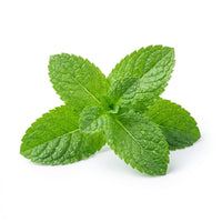 Menthol